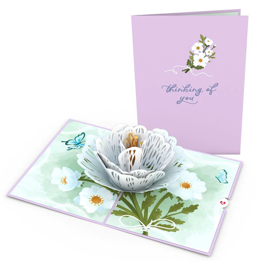 [LP4052] Thinking of You Flower Pop-Up Card