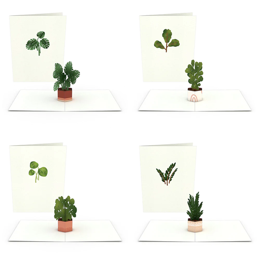 [PA2446] Plants Notecards (Assorted 4-Pack)