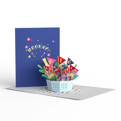 [LP4628] Big Congrats Flower Basket Paperpop Card®