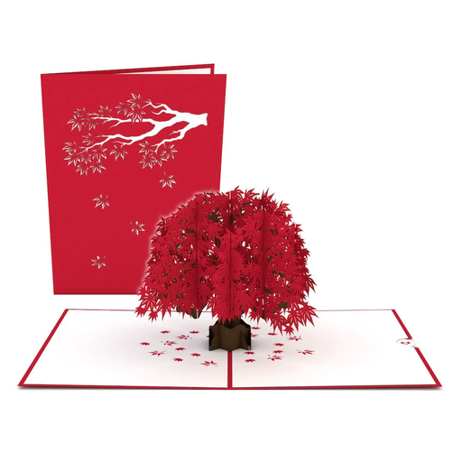 [LP1592] Japanese Maple Tree